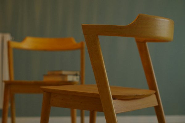 Aménagement paysager : choisissez bien les végétaux que vous souhaitez