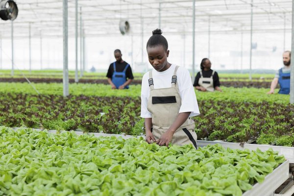 Quelle est la méthode facile pour changer le joint d'une fenêtre ?